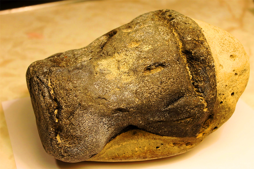 Fossil Whale Bone From The Miocene Monterey Formation In The Vicintiy Of  Santa Barbara, California