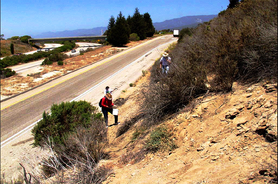 Ice Age Fossil Hill, California